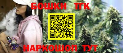 крисы Нальчик