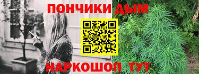 крисы Нальчик