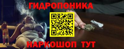 крисы Нальчик